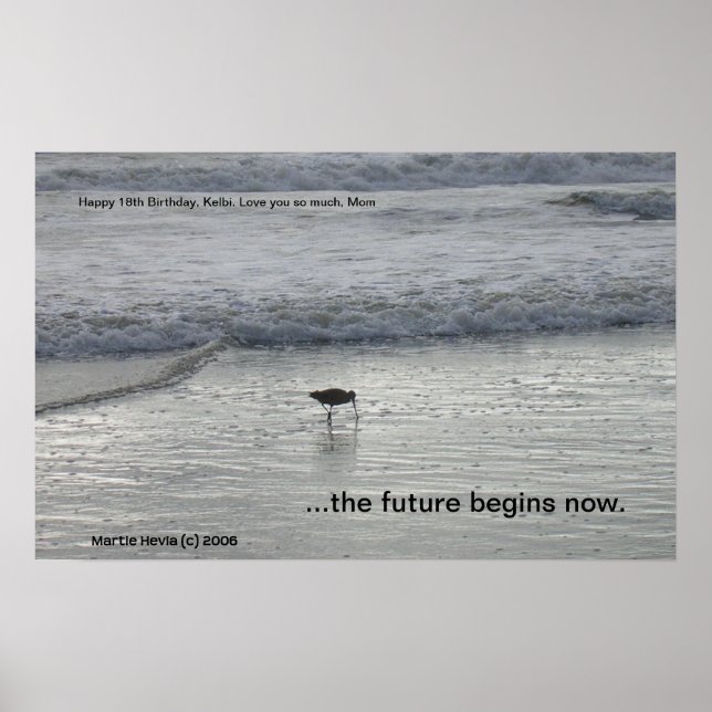 Lone Sandpiper Print (Personalise) (Front)