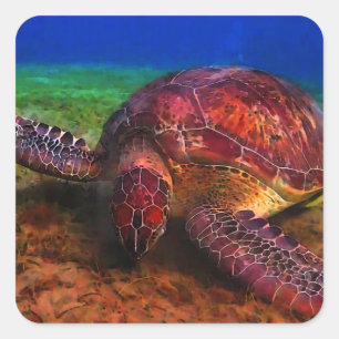 Lone Sea Turtle Sticker