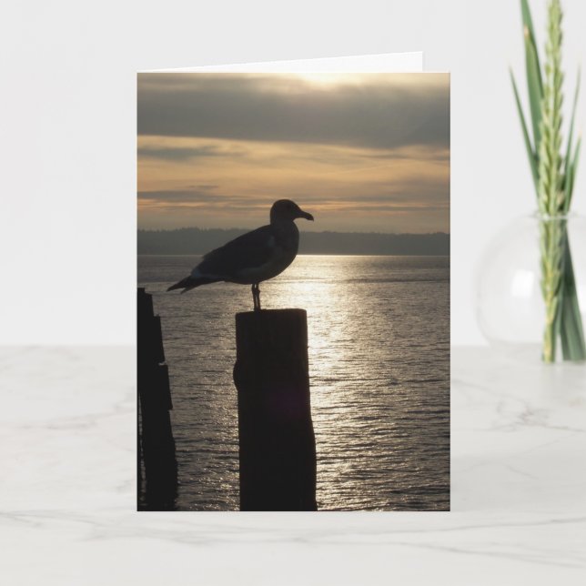 Lone Seagull Sympathy Card (Front)