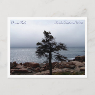 Lone Sentinel on the Ocean Path Postcard