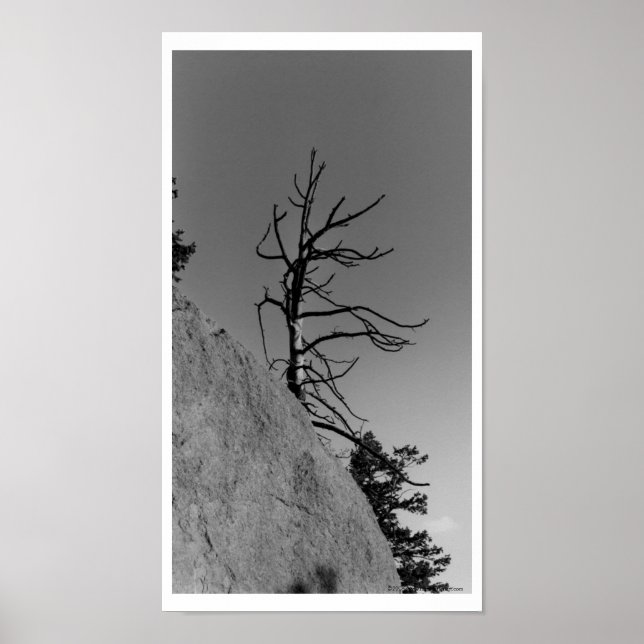 Lone Sky Tree, digital photo by Mark Easton Poster (Front)