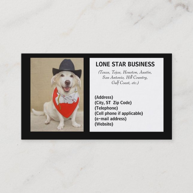 LONE STAR ANY BUSINESS BUSINESS CARD (Front)