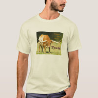 Lone Star Texas Longhorn Shirt
