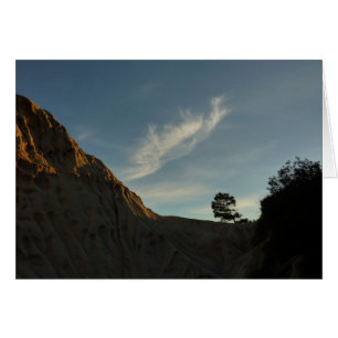Lone Torrey Pine California Sunset Landscape
