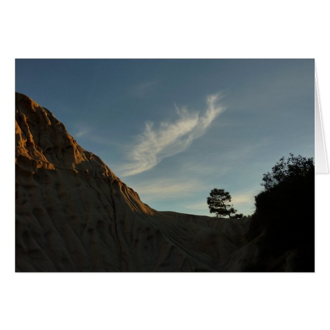 Lone Torrey Pine California Sunset Landscape (Front Horizontal)