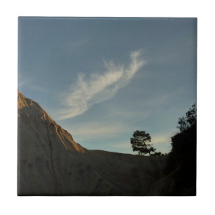 Lone Torrey Pine California Sunset Landscape Ceramic Tile