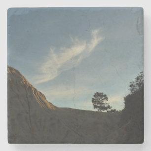 Lone Torrey Pine California Sunset Landscape Stone Coaster