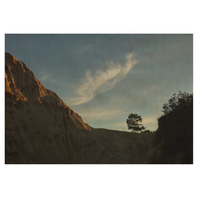 Lone Torrey Pine California Sunset Landscape Wood Poster (Front)