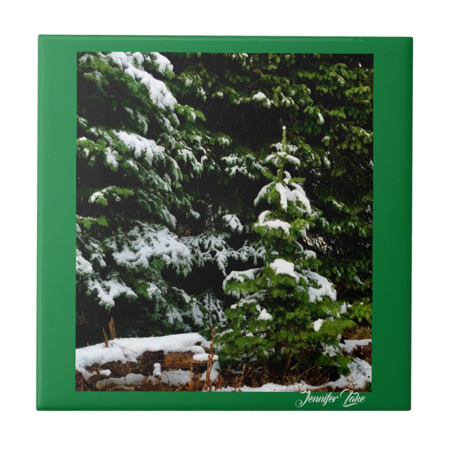 Lone Tree Ceramic Tile (Front)