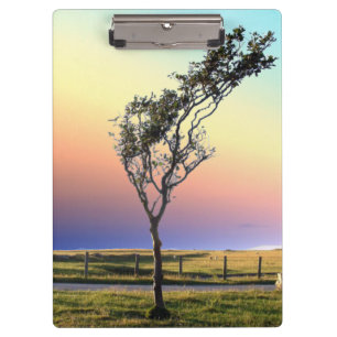 LONE TREE CLIPBOARD