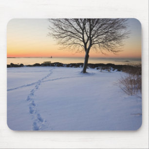 Lone tree in fresh snow at New Castle Common Mouse Pad