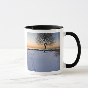 Lone tree in fresh snow at New Castle Common Mug