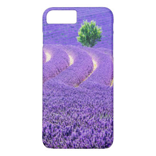Lone tree in Lavender Field, France iPhone 8 Plus/7 Plus Case
