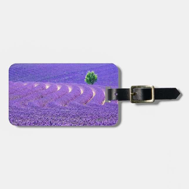 Lone tree in Lavender Field, France Luggage Tag (Front Horizontal)