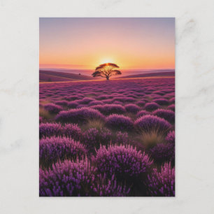 Lone Tree North York Moors National Park England Postcard