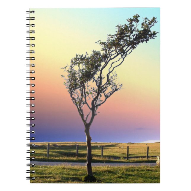 LONE TREE   NOTEBOOK (Front)