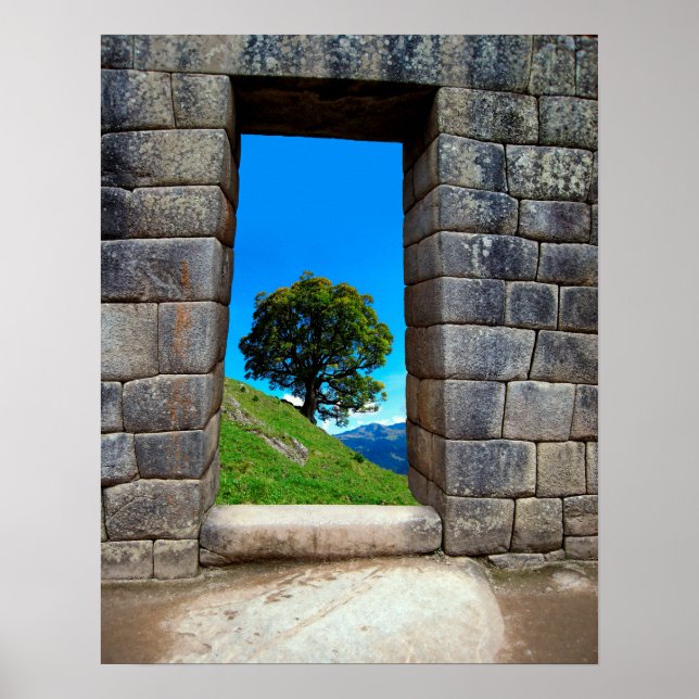 LONE TREE of MACHU PICHU Poster (Front)