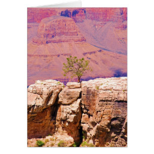 "Lone Tree on Canyon Ridge" collection