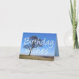 Lone tree, tree lovers and arborists card