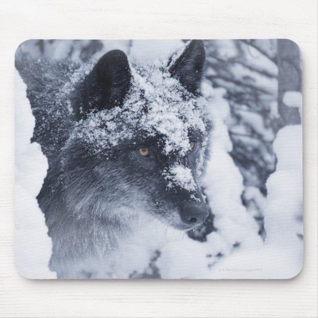 Lone wolf in snow mouse pad (Front)