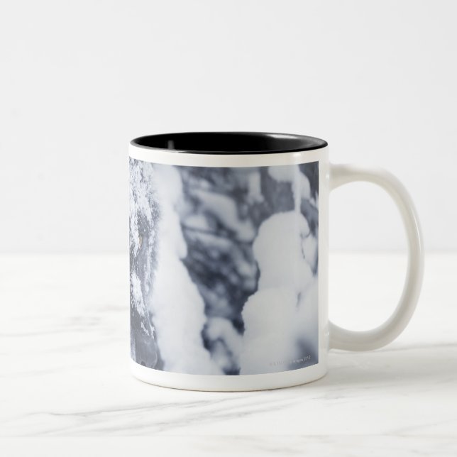 Lone wolf in snow Two-Tone coffee mug (Right)