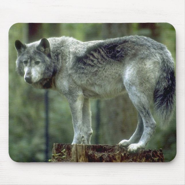 Lone Wolf Mousepad (Front)