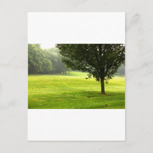 Lone Wolf Postcard