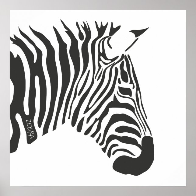 Lone Zebra Poster (Front)