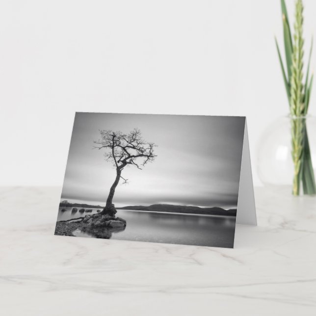 Lonely Bare Tree Card (Front)