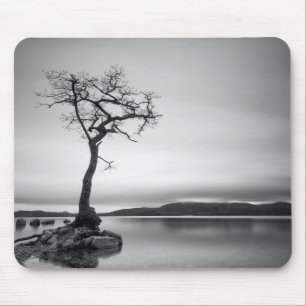 Lonely Bare Tree Mouse Pad
