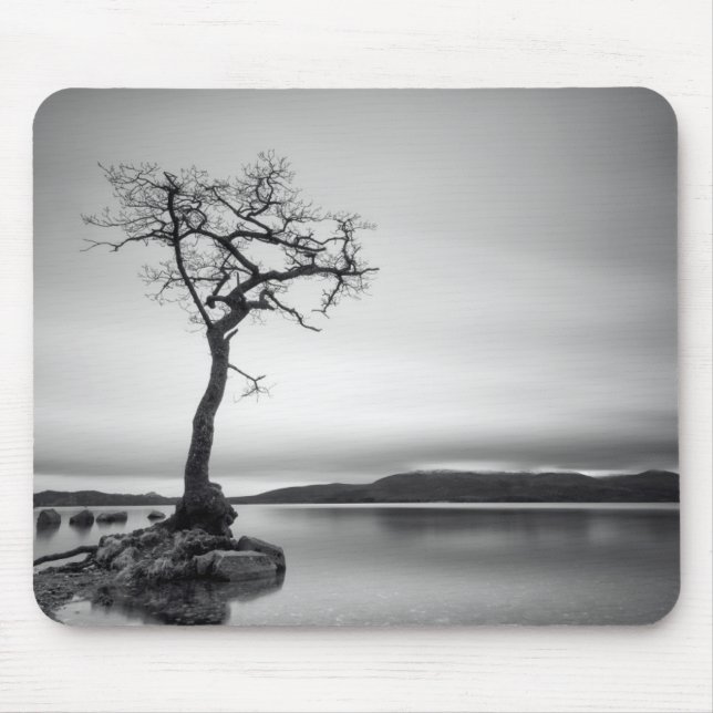 Lonely Bare Tree Mouse Pad (Front)