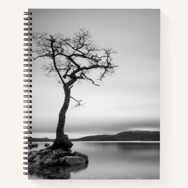 Lonely Bare Tree Notebook (Front)