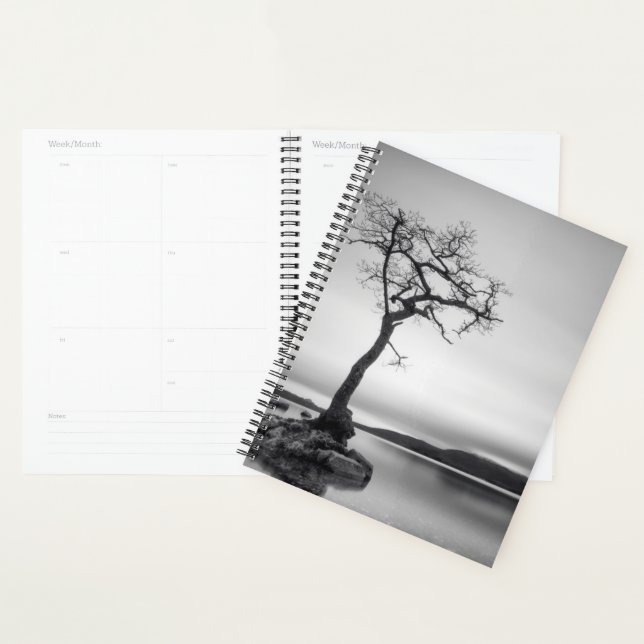 Lonely Bare Tree Planner (Display)