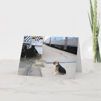 Lonely Beagle Waiting For A Train - Greeting Card