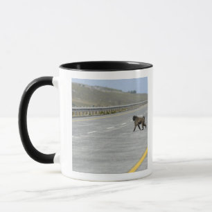 Lonely Chacma baboon crossing highway road Mug