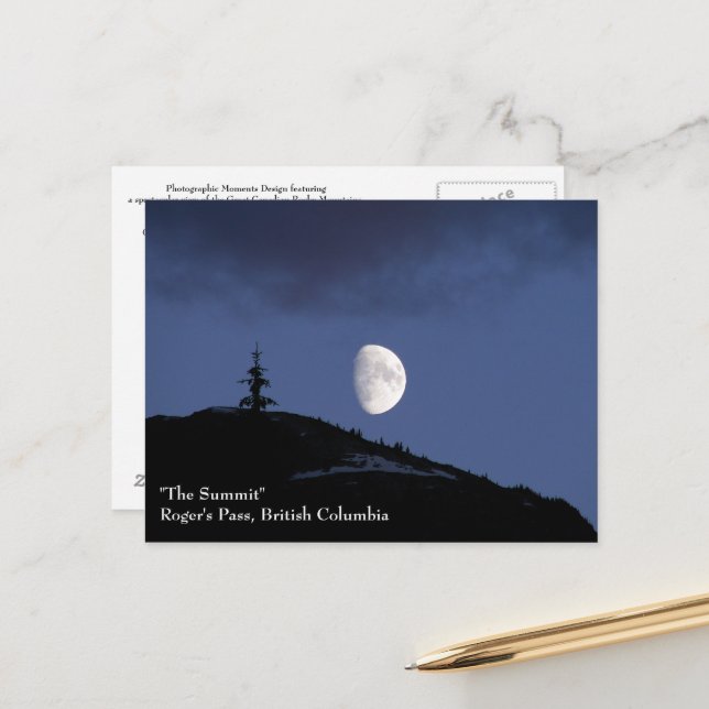 Lonely Companion Postcard (Front/Back In Situ)