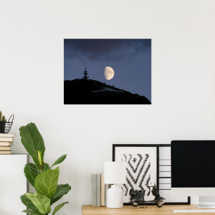 Lonely Companion Poster