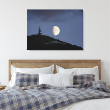 Lonely Companion Stretch Canvas Print