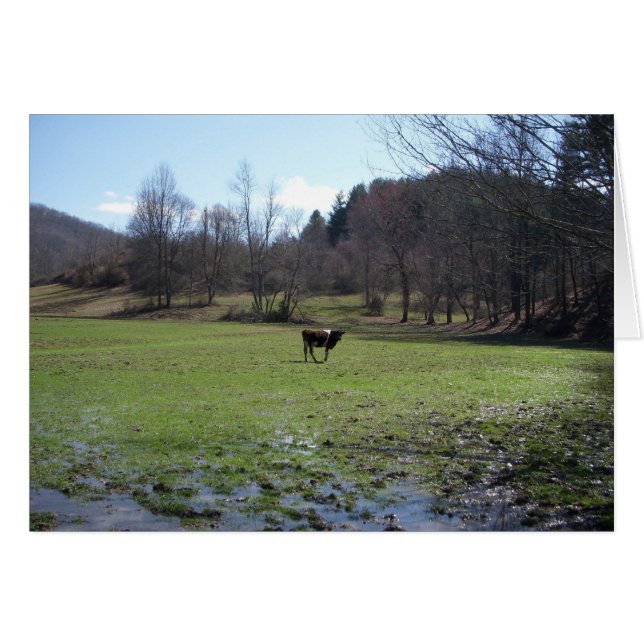 Lonely Cow (Front Horizontal)