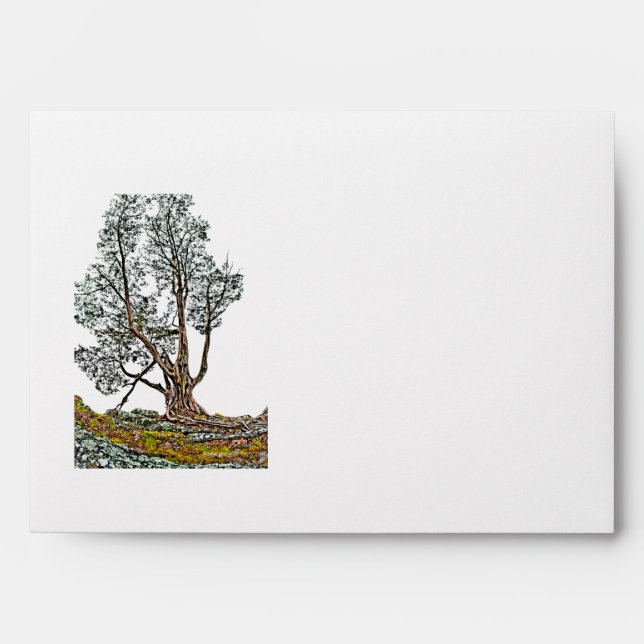 Lonely Cypress Envelopes (Front)