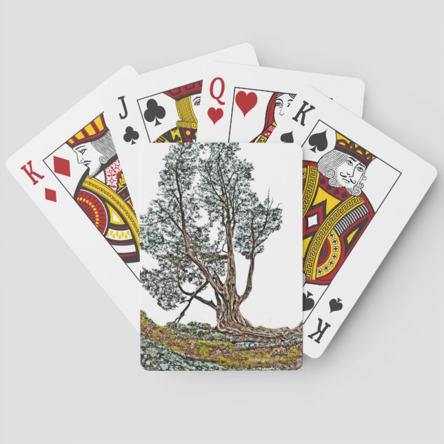 Lonely Cypress  Playing Cards (Back)