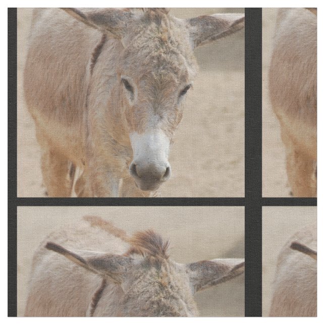 Lonely Donkey Fabric (Close Up)