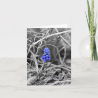 Lonely Grape Hyacinth Select Colour Get Well