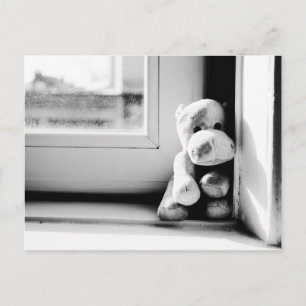 Lonely Hippo Vintage Postcard