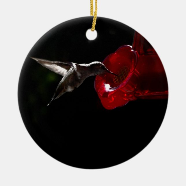 Lonely Hummingbird Ceramic Ornament (Front)