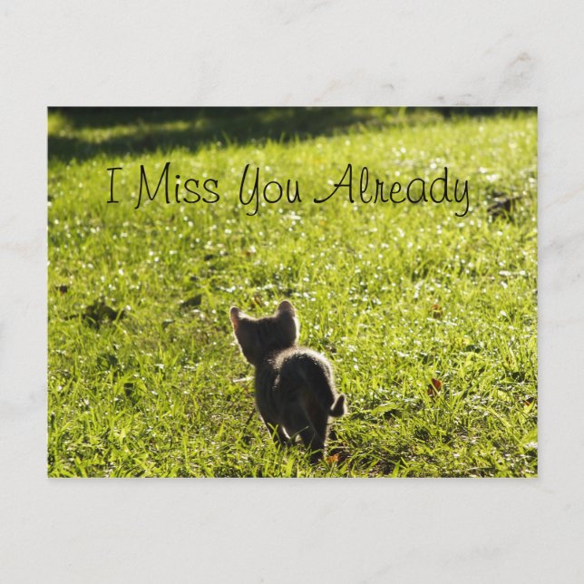 Lonely Kitten "Missing You" Postcard *Customisable (Front)