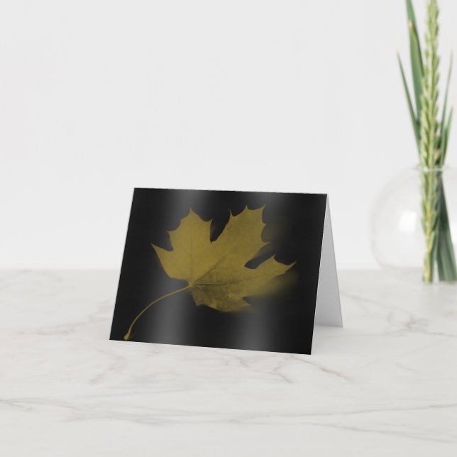 Lonely Maple Leaf Note Card (Front)