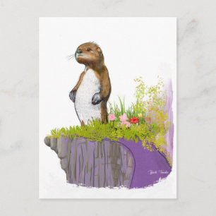 Lonely Otter Postcard