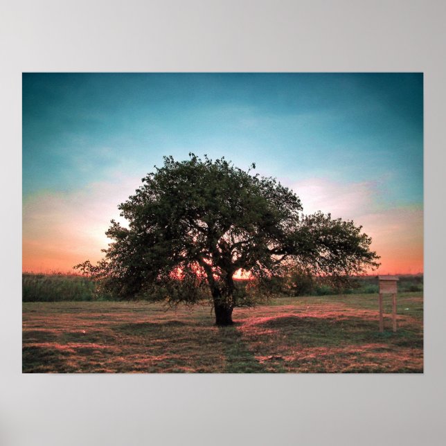 Lonely pear tree poster (Front)