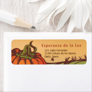 Lonely pumpkin one the field. Autumn leaves fall. Return Address Label